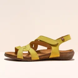 El Naturalista Wakataua N5079